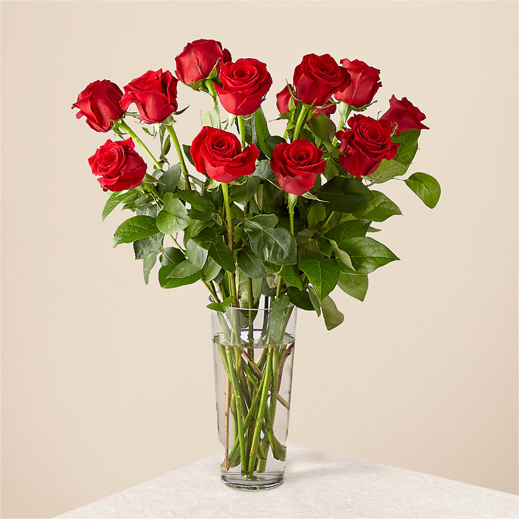 Long Stem Red Rose Bouquet – Paiges Petals Floral Design, Stanton MI