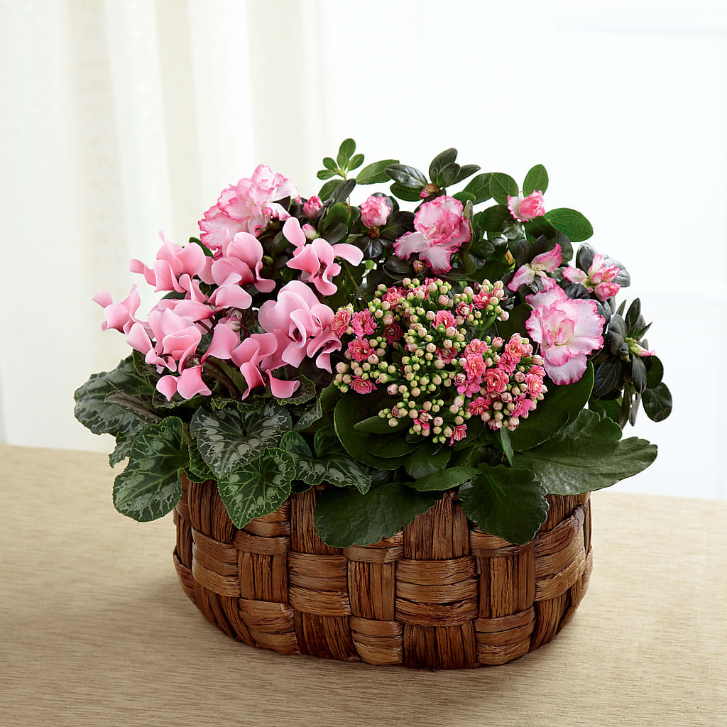 Pink Assortment – Paiges Petals Floral Design, Stanton MI