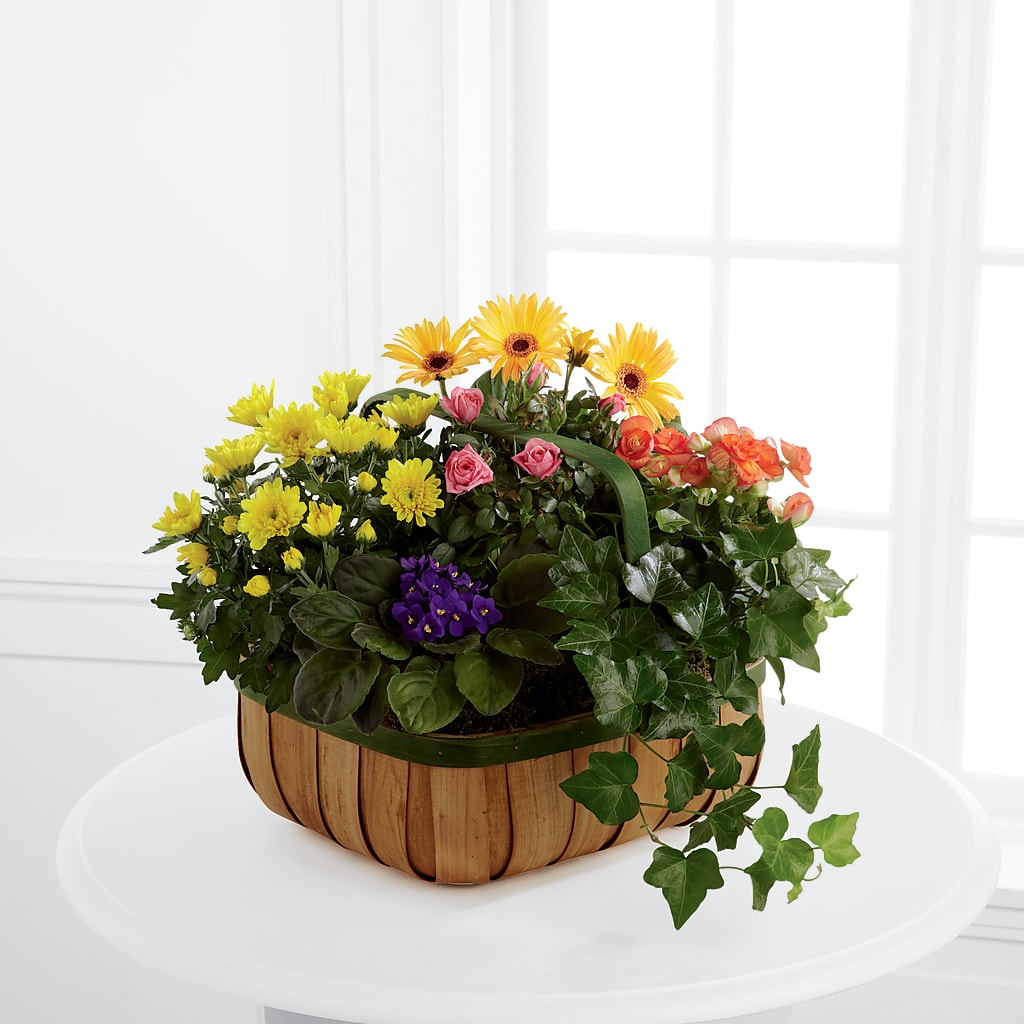 Gentle Blossoms Basket – Paiges Petals Floral Design, Stanton MI