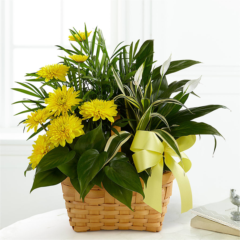 Loving Light Dishgarden – Paiges Petals Floral Design, Stanton MI