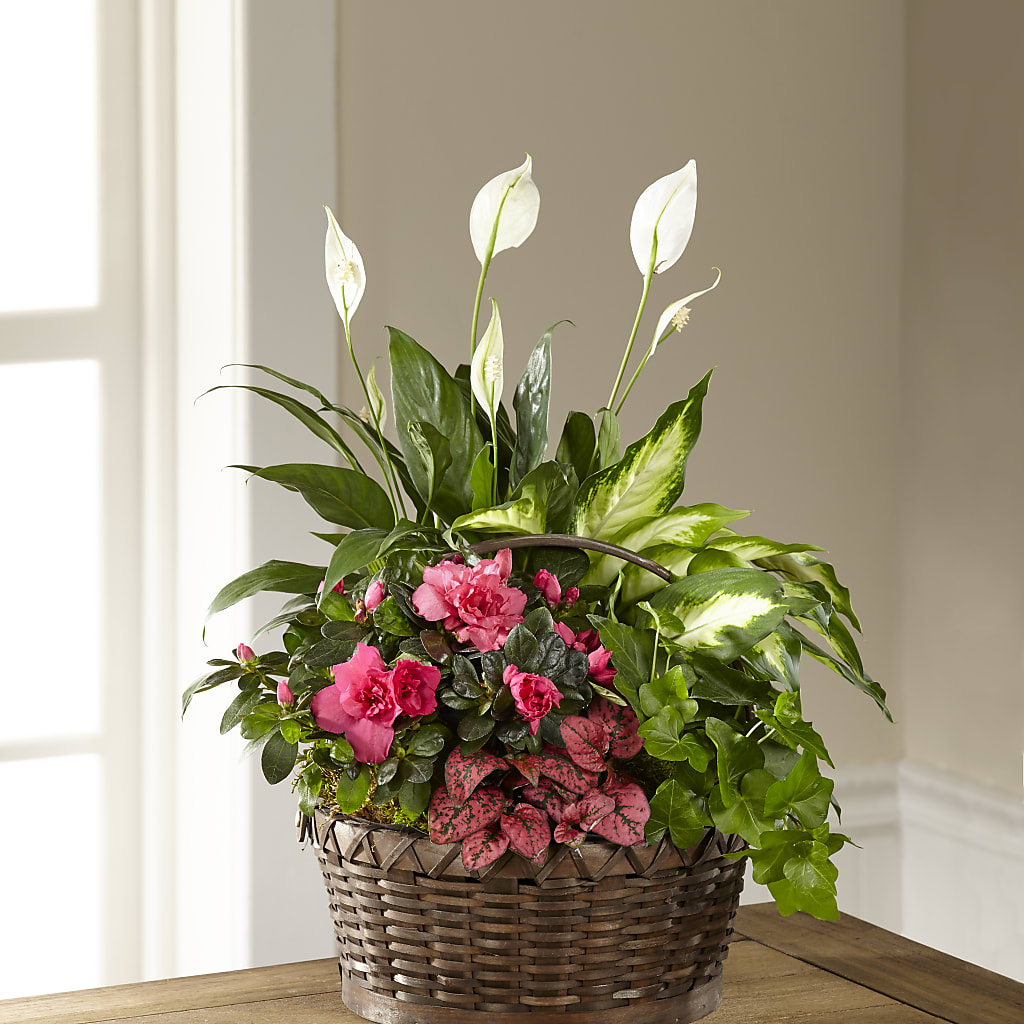 Dream in Pink Dishgarden – Paiges Petals Floral Design, Stanton MI