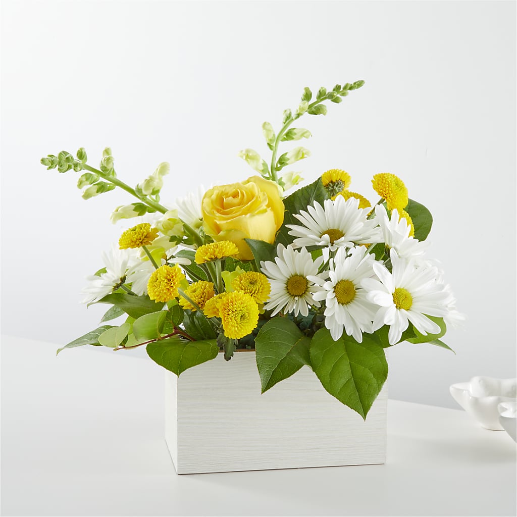 Sun Salutation Box Bouquet – Paiges Petals Floral Design, Stanton MI