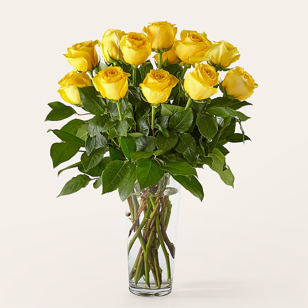 Long Stem Yellow Rose Bouquet – Paiges Petals Floral Design, Stanton MI