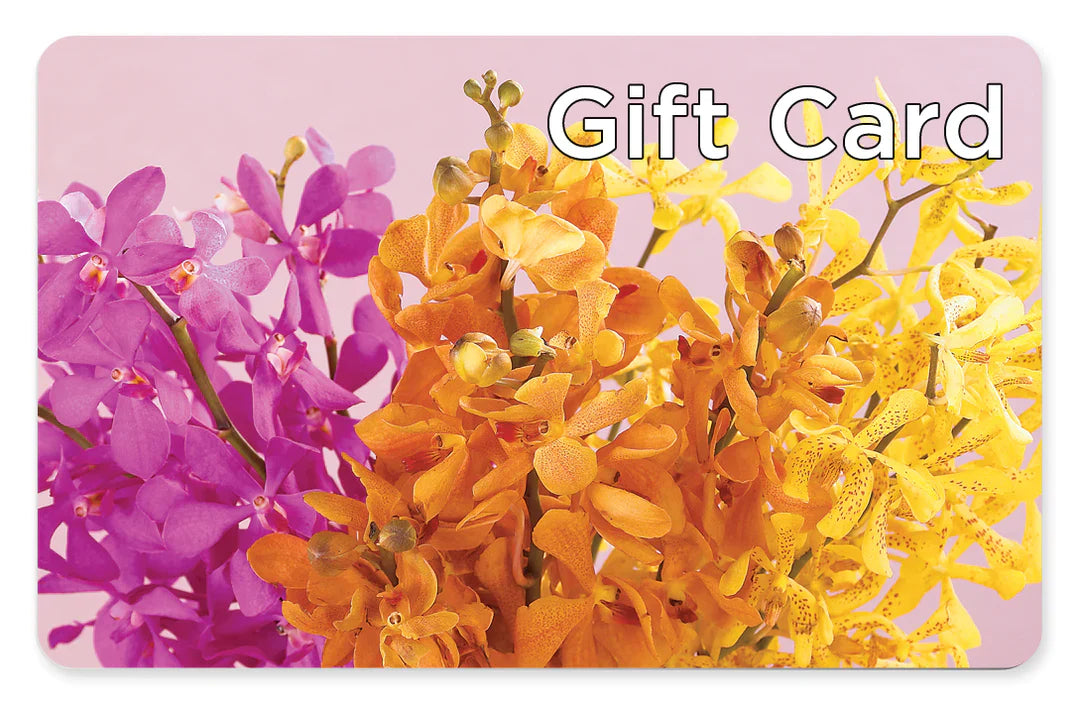 Gift Card – Paiges Petals Floral Design, Stanton MI