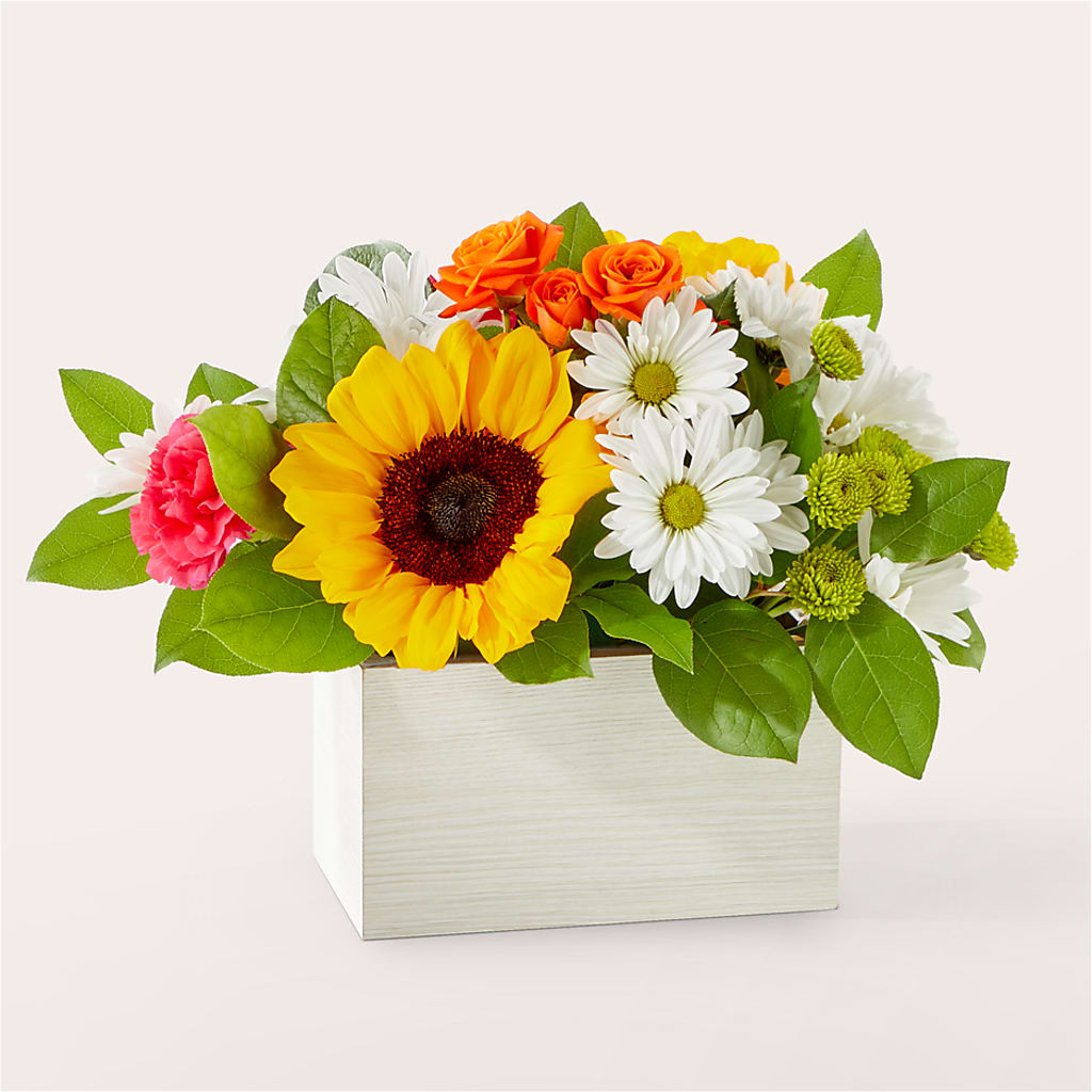 Sun-drenched Blooms Box Bouquet – Paiges Petals Floral Design, Stanton MI