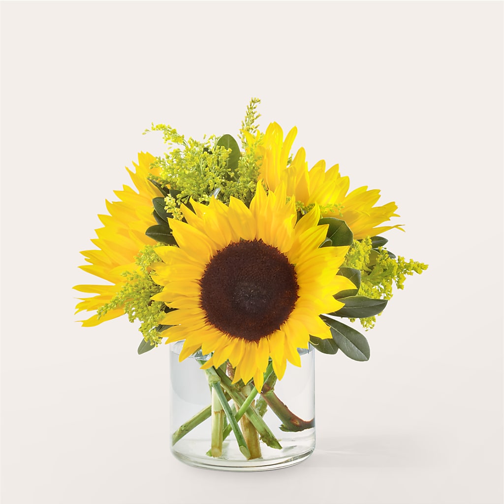 Beaming Sunflower Bouquet – Paiges Petals Floral Design, Stanton MI