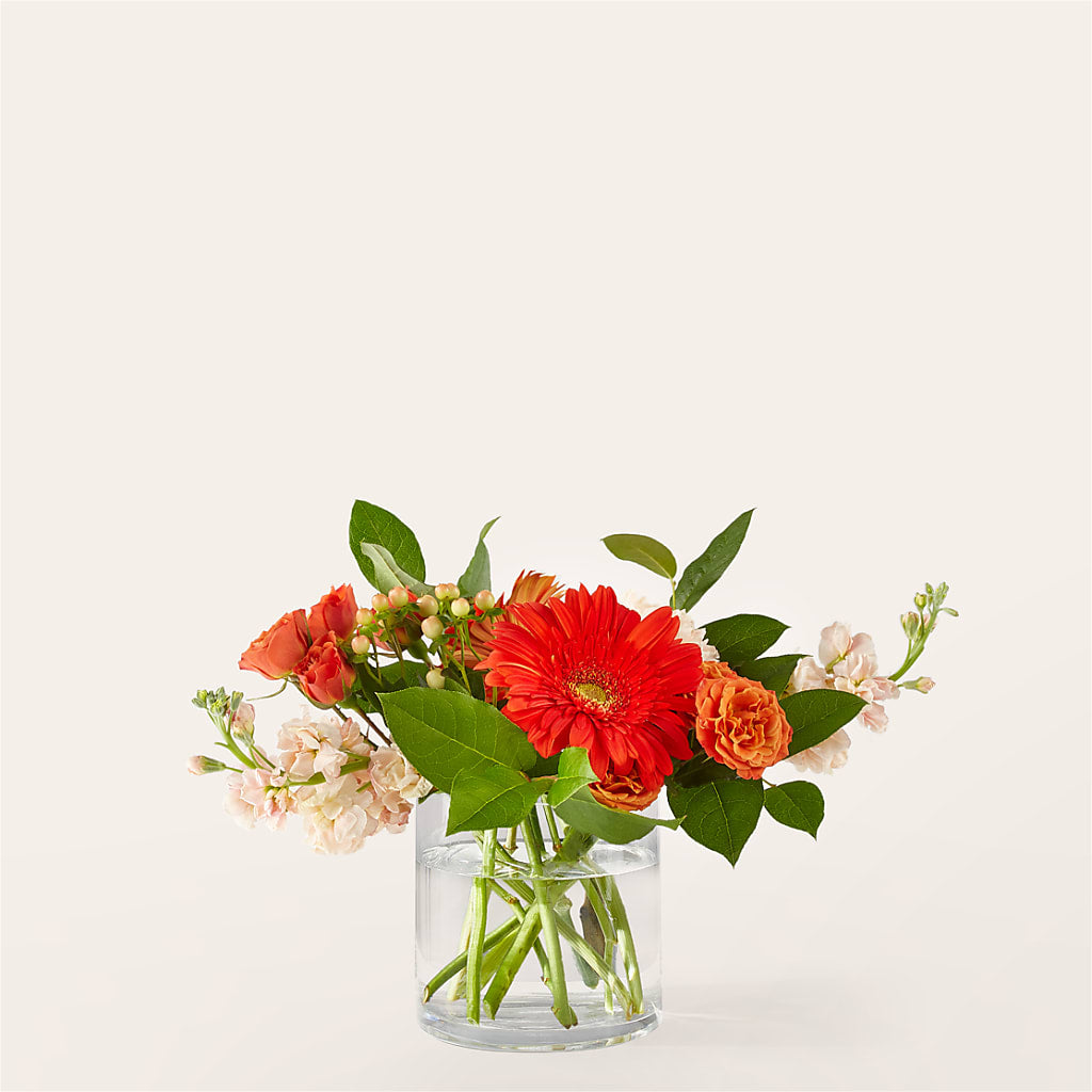Paloma Please Bouquet – Paiges Petals Floral Design, Stanton MI