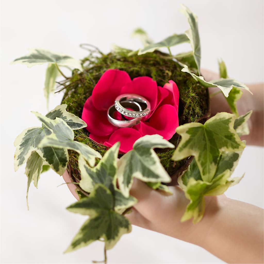 Lila Rose Ring Nest – Paiges Petals Floral Design, Stanton MI