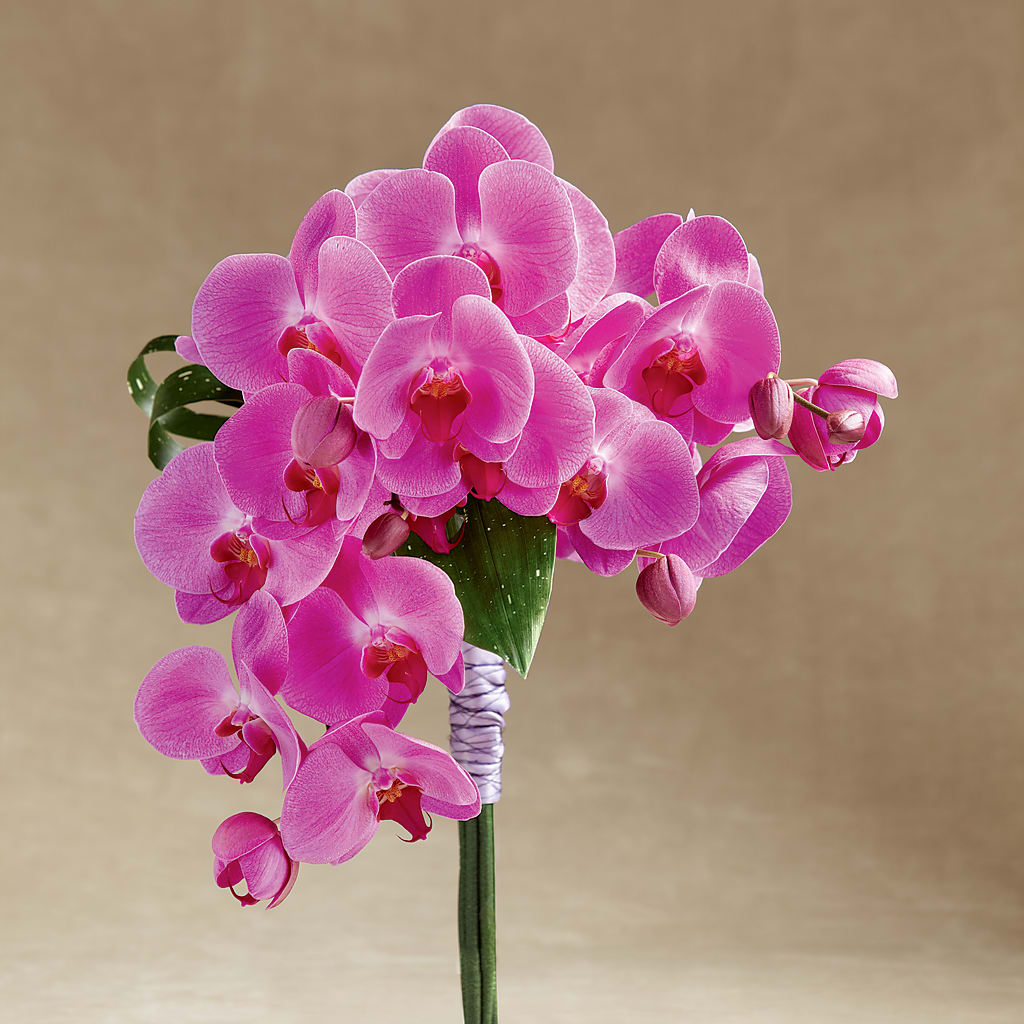 Glorious Bouquet – Paiges Petals Floral Design, Stanton MI