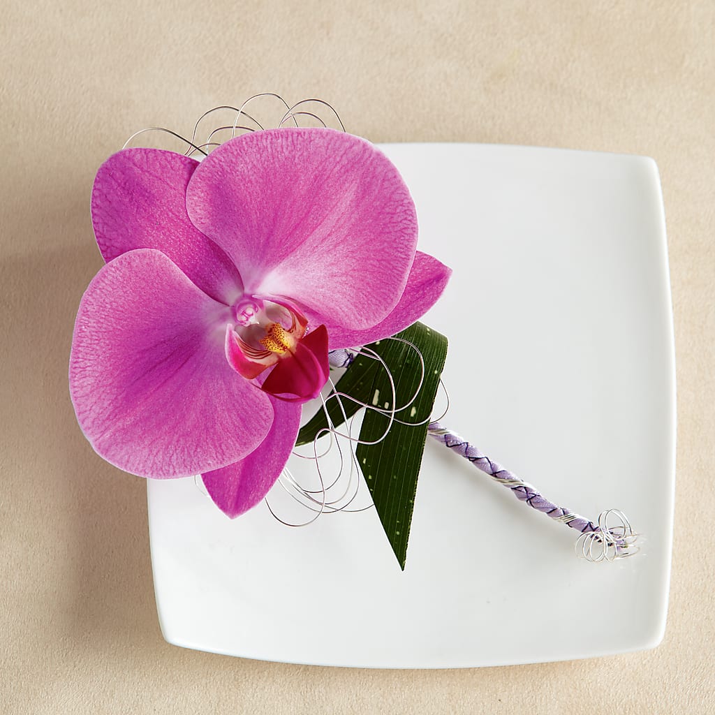 Glorious Boutonniere – Paiges Petals Floral Design, Stanton MI
