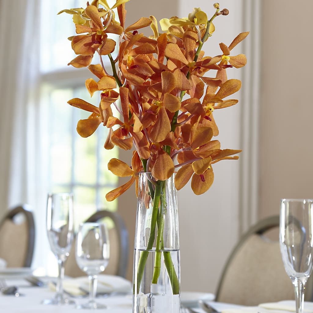 Orange Mokara Bud Vase – Paiges Petals Floral Design, Stanton MI