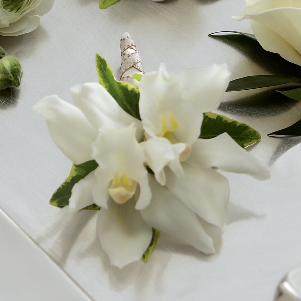 White Mini Cymbidium Boutonniere – Paiges Petals Floral Design, Stanton MI