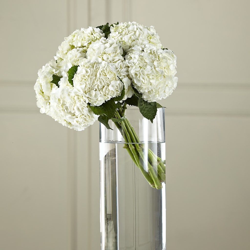 White Hydrangea Hand-Tied Bouquet – Paiges Petals Floral Design, Stanton MI