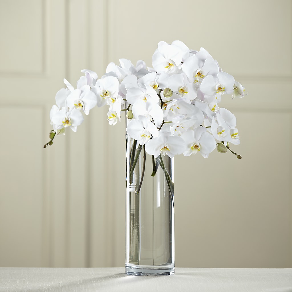 White Phalaenopsis Bouquet – Paiges Petals Floral Design, Stanton MI