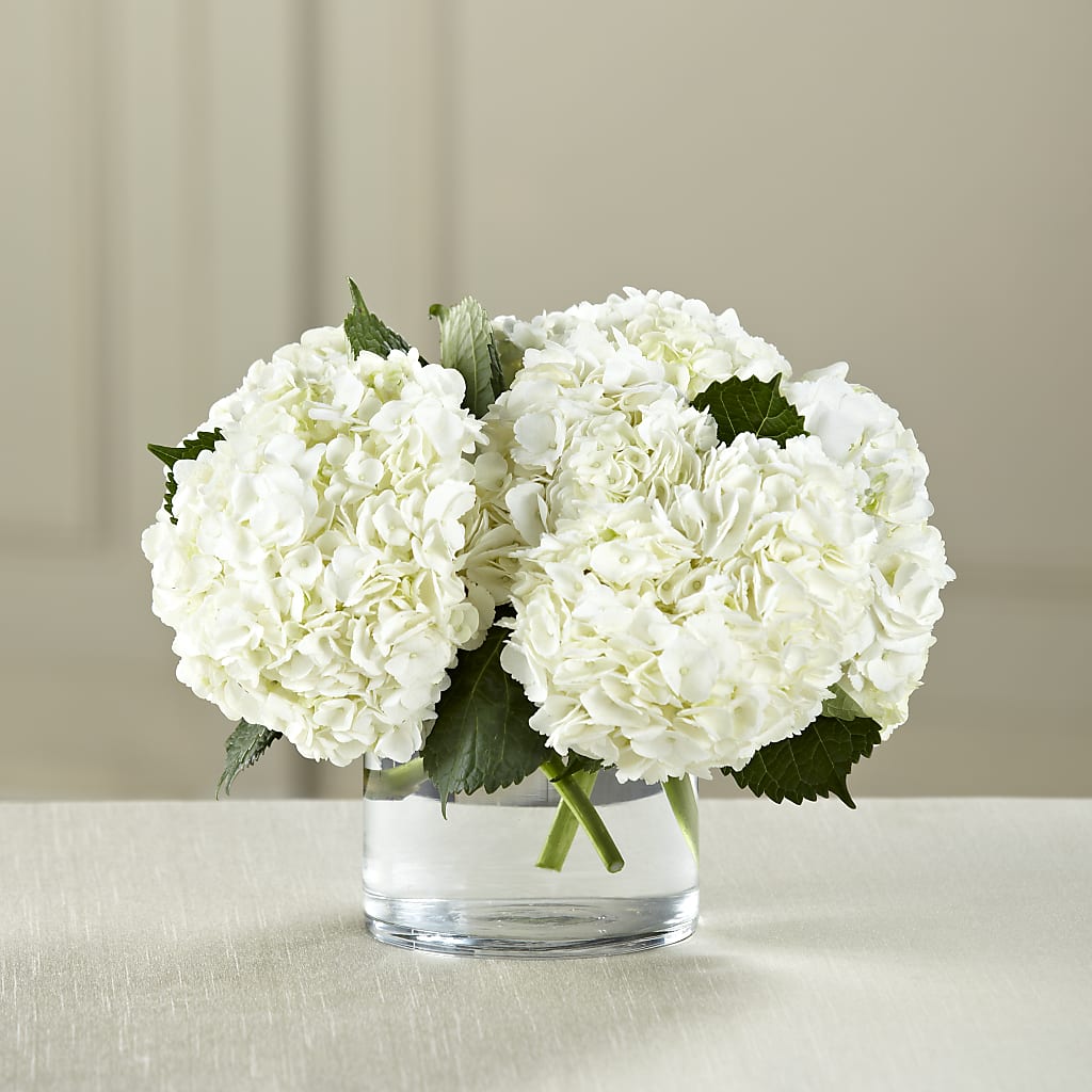 White Hydrangea Bouquet – Paiges Petals Floral Design, Stanton MI
