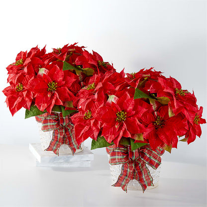Happiest Holidays Poinsettia Bundle –  Paiges Petals Floral Design, Stanton MI