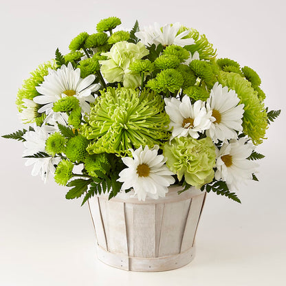 Lucky Charm Basket (Standard) –  Paiges Petals Floral Design, Stanton MI