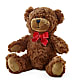 Adorable Plush Bear –  Paiges Petals Floral Design, Stanton MI