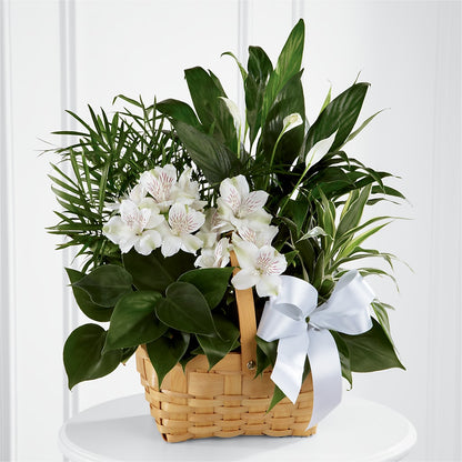 Peace & Serenity Dishgarden –  Paiges Petals Floral Design, Stanton MI