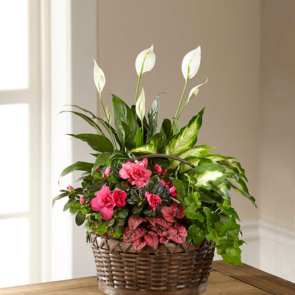 Dream in Pink Dishgarden –  Paiges Petals Floral Design, Stanton MI