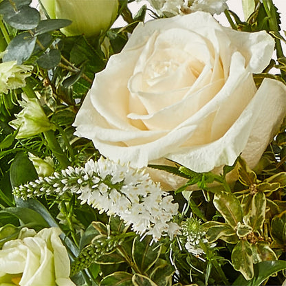 Cashmere Bouquet –  Paiges Petals Floral Design, Stanton MI