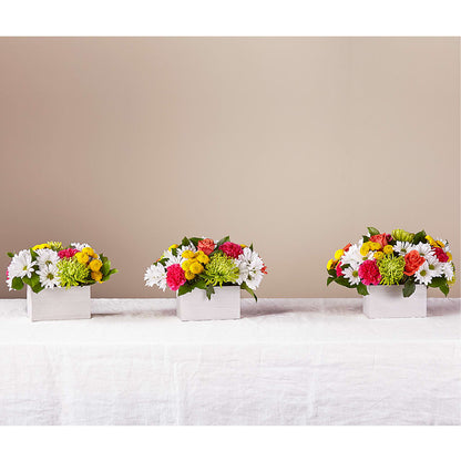 Sorbet Bouquet –  Paiges Petals Floral Design, Stanton MI