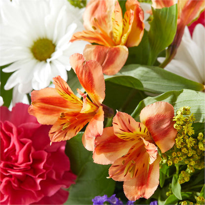 Oopsie Daisy Box Bouquet –  Paiges Petals Floral Design, Stanton MI