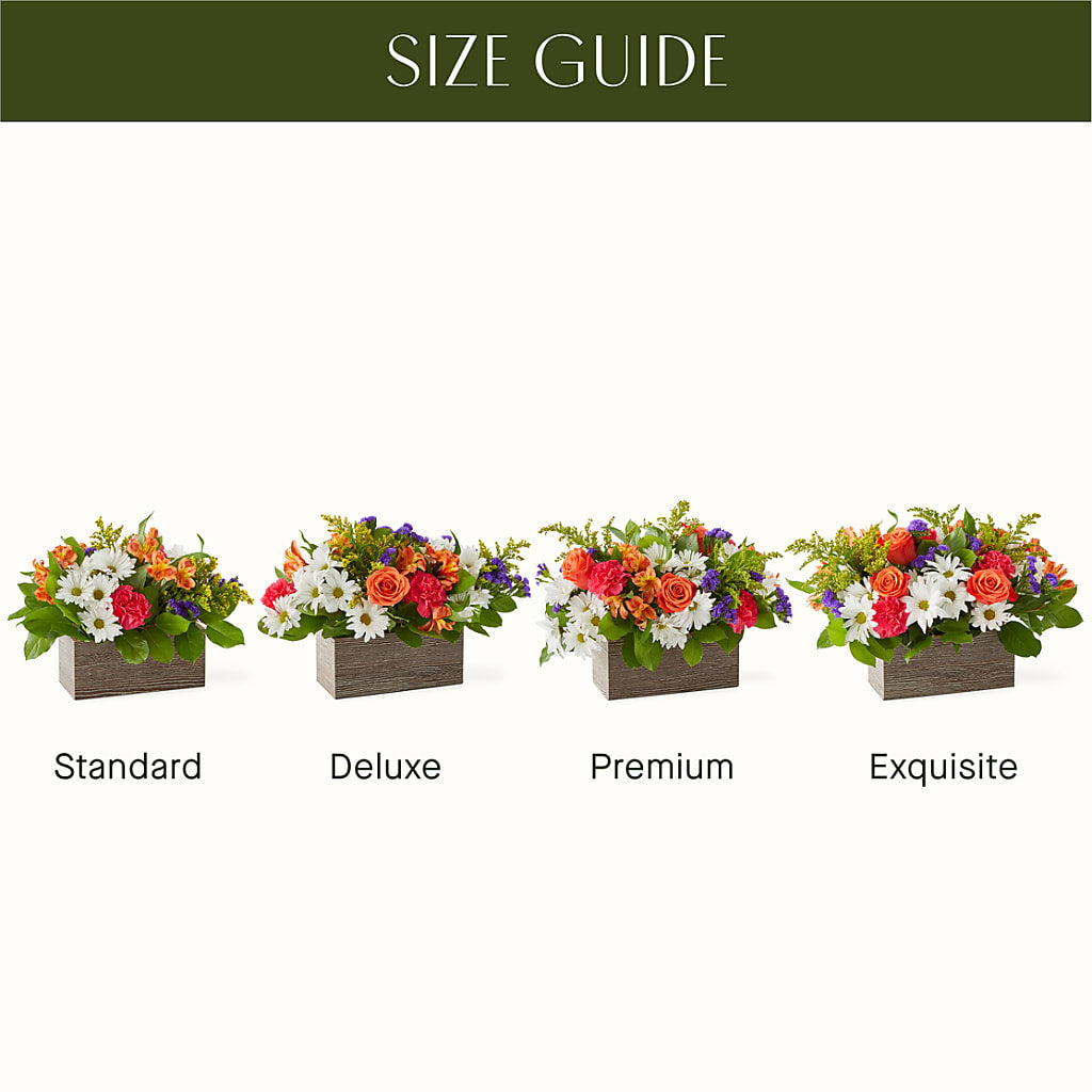 Oopsie Daisy Box Bouquet –  Paiges Petals Floral Design, Stanton MI