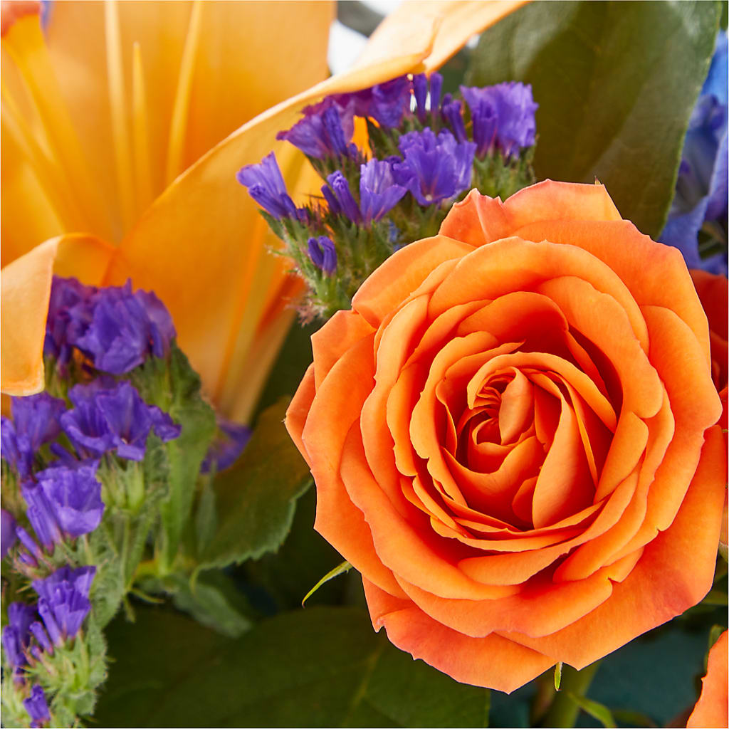 Radiant Citrus Box Bouquet –  Paiges Petals Floral Design, Stanton MI