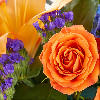 Radiant Citrus Box Bouquet –  Paiges Petals Floral Design, Stanton MI