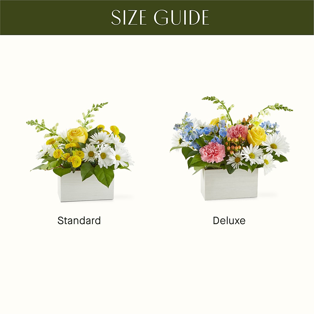 Sun Salutation Box Bouquet –  Paiges Petals Floral Design, Stanton MI