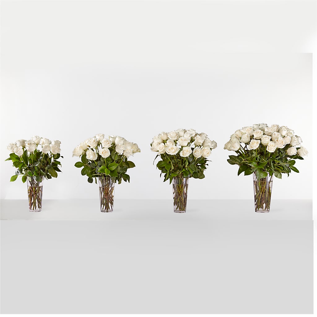 Long Stem White Rose Bouquet –  Paiges Petals Floral Design, Stanton MI