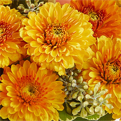 Peachy Pumpkin –  Paiges Petals Floral Design, Stanton MI