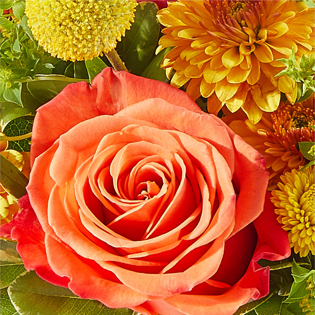 Gourdgeous Pumpkin –  Paiges Petals Floral Design, Stanton MI