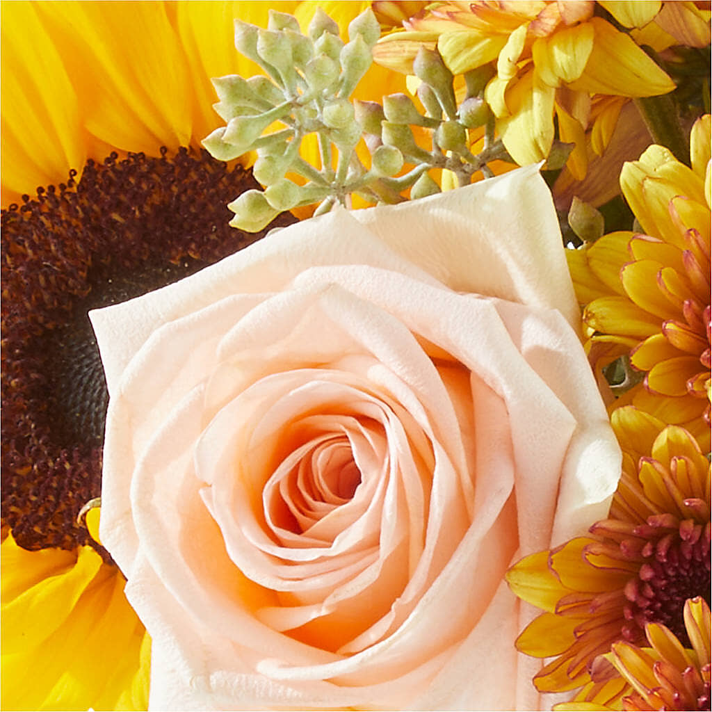Pumpkin to Talk About Bouquet –  Paiges Petals Floral Design, Stanton MI