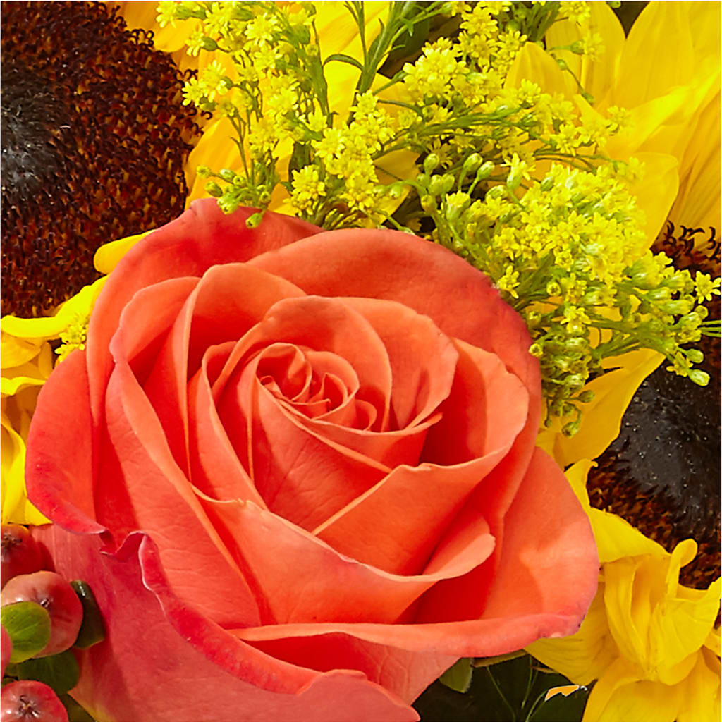 Pick of the Patch Pumpkin Bouquet –  Paiges Petals Floral Design, Stanton MI