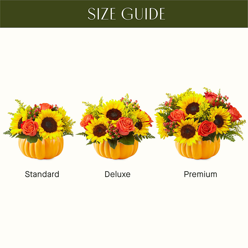 Pick of the Patch Pumpkin Bouquet –  Paiges Petals Floral Design, Stanton MI