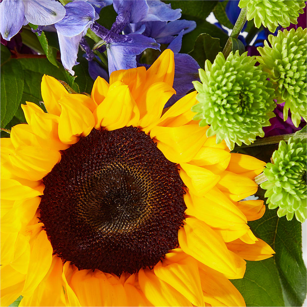 Catching Rays Bouquet –  Paiges Petals Floral Design, Stanton MI