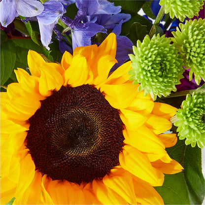 Catching Rays Bouquet –  Paiges Petals Floral Design, Stanton MI