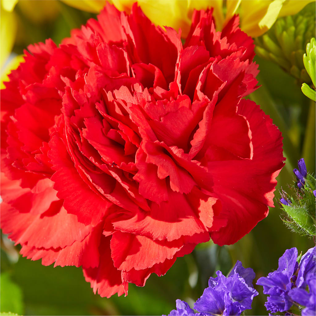 Brighter Days Bouquet –  Paiges Petals Floral Design, Stanton MI