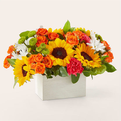 Sun-drenched Blooms Box Bouquet –  Paiges Petals Floral Design, Stanton MI