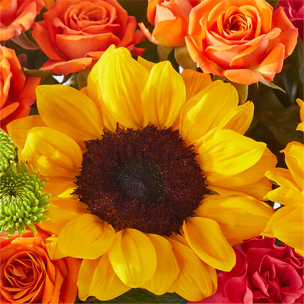 Sun-drenched Blooms Box Bouquet –  Paiges Petals Floral Design, Stanton MI