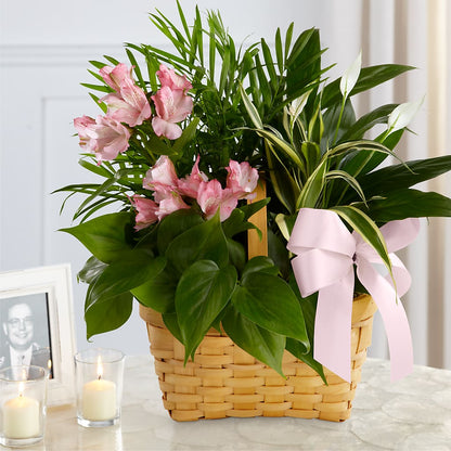 Living Spirit Dishgarden –  Paiges Petals Floral Design, Stanton MI