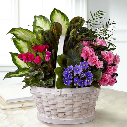 Peaceful Garden Planter –  Paiges Petals Floral Design, Stanton MI