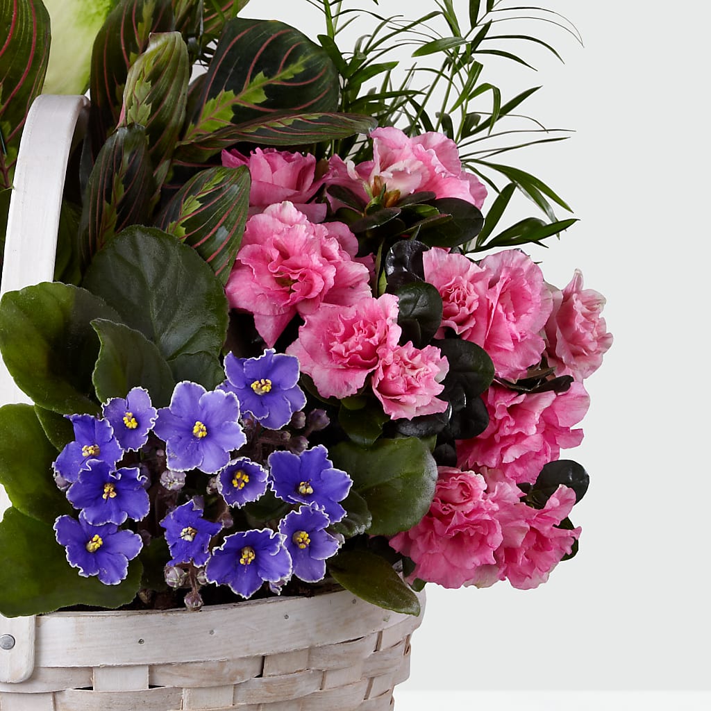 Peaceful Garden Planter –  Paiges Petals Floral Design, Stanton MI