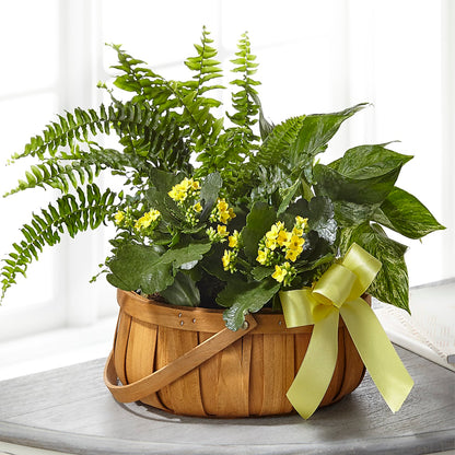 Always Dear Dishgarden –  Paiges Petals Floral Design, Stanton MI