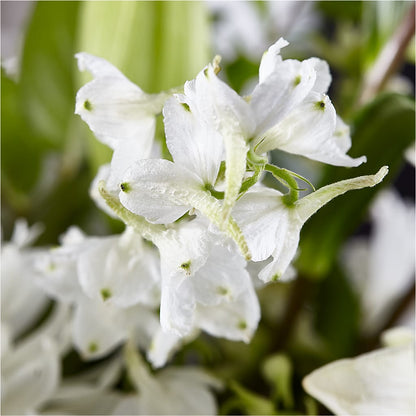 Classic Ivory – A Florist Original –  Paiges Petals Floral Design, Stanton MI