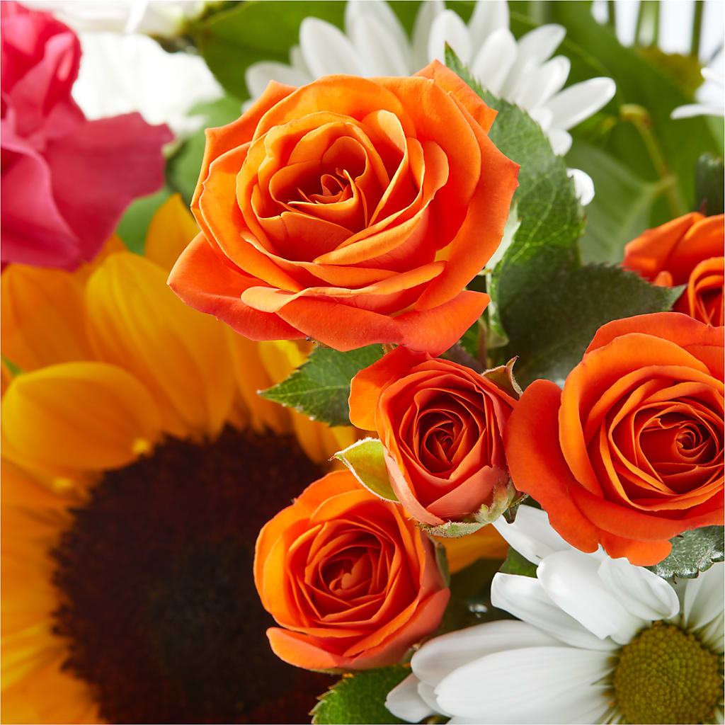 Sun-drenched Blooms Bouquet –  Paiges Petals Floral Design, Stanton MI
