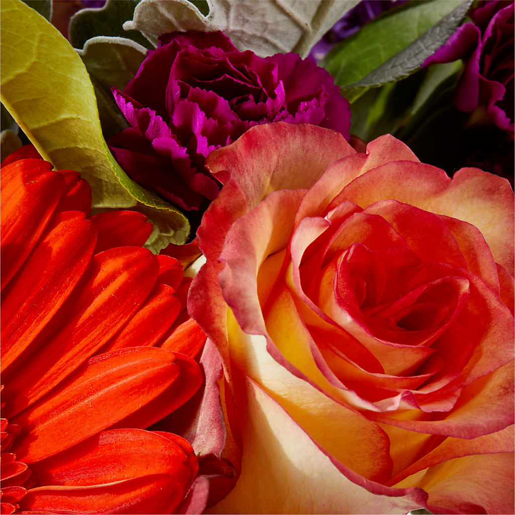 Sangria Bouquet –  Paiges Petals Floral Design, Stanton MI
