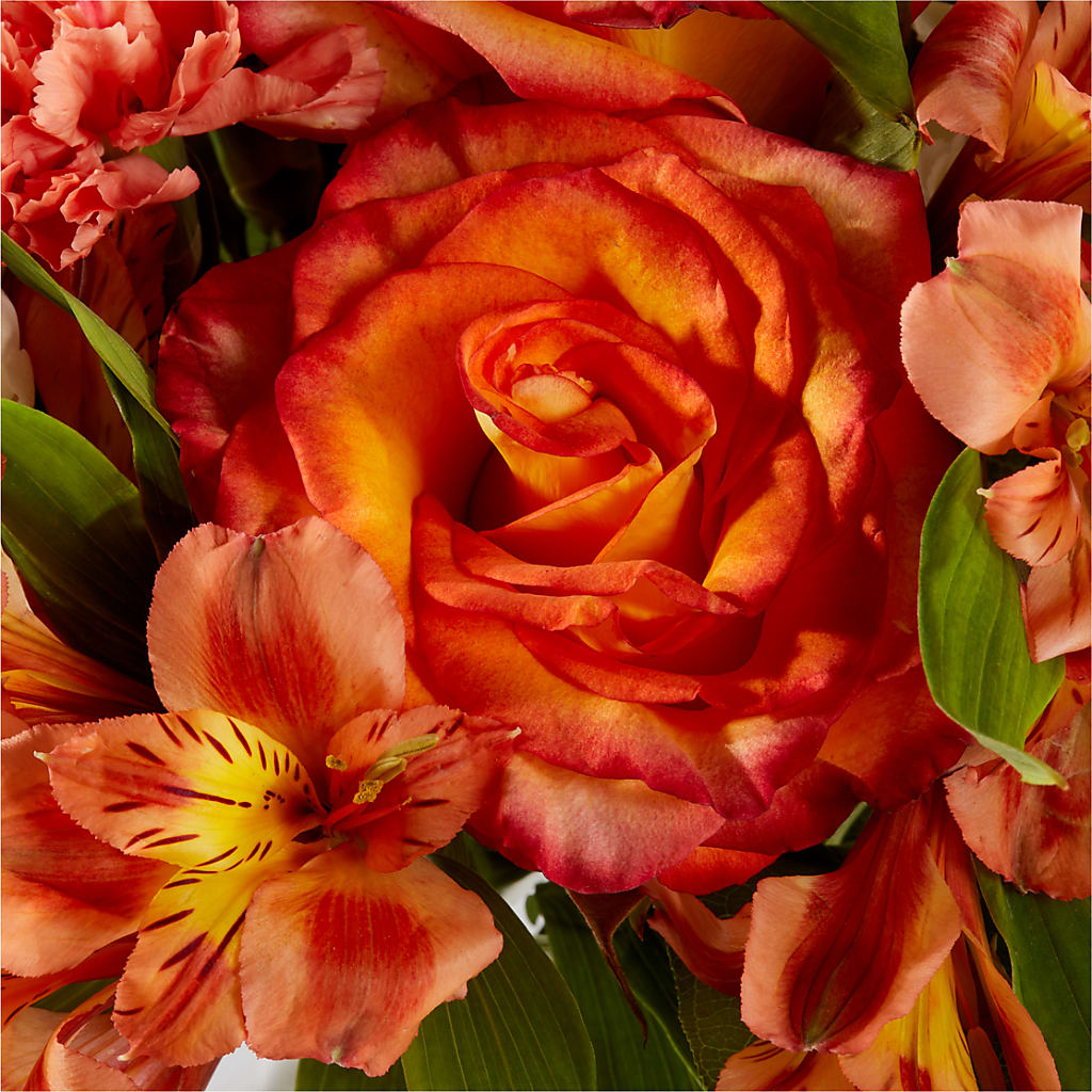 Apricot Glow Bouquet –  Paiges Petals Floral Design, Stanton MI
